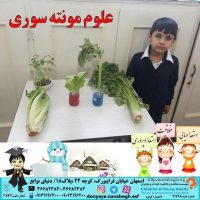 علوم مونته سوری